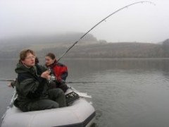 Shelf 310 �ed� +  Rhino VX 28