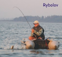Shelf 310 �ed� +  Rhino VX 28