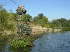  OBleenie geoff je elita na rybrskom trhu pripraven na tie najvie lejaky