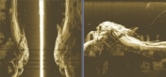 uk�ka nahr�vky sonar lowrance HDS z VN Orava - zatopen� budovy