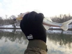 Geoff Anderson rukavice Technical Merino Geoff Anderson rukavice Technical Merino