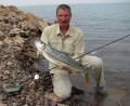 GEOFF ko�e�a MORADA dl. ruk�v  cactus M